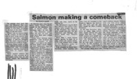 Salmon making a comeback