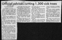 Official advises cutting 1,300 sick trees