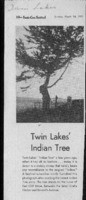 Twin Lakes 'Indian Tree