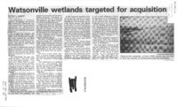 Watsonville wetlands targeted for acquistion