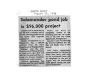 Salamander pond job is $96,000 project