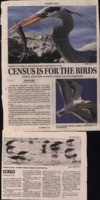 Census is for the birds