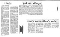 Limits put on village study committee's role