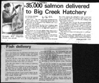 35,000 salmon delivered to Big Creek Hatchery