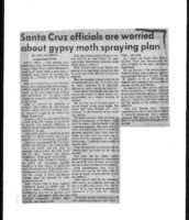 Santa Cruz officials are worried about gypsy moth spraying plan