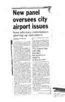 New panel oversees city airport issues