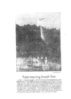 Fast-moving brush fire