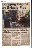 Logging begins at Grizzly Flat