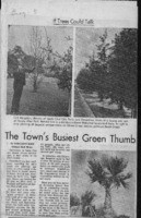 Town's Busiest Green Thumb