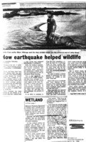 How earthquake helped wildlife