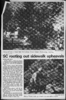 SC rooting out sidewalk upheavals