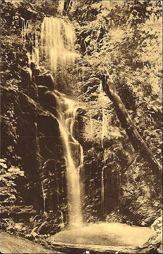 Berry Creek Falls