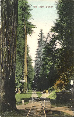 Big Trees Station