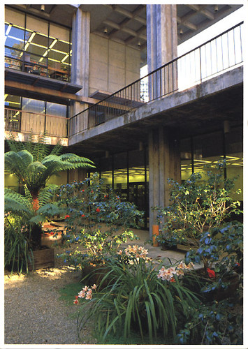 Atrium of McHenry Library