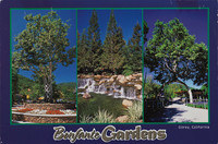 Tree Circus: Bonfante Gardens Postcard