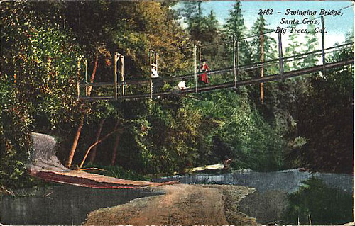 Swinging Bridge, Santa Cruz, Big Trees