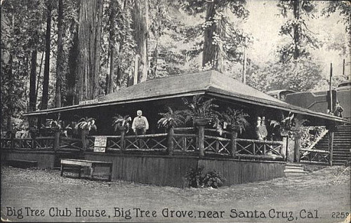 Big Tree Club House, Big Tree Grove