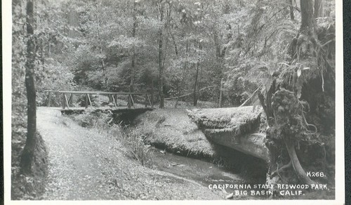 Bridge at California State Redwood Park, Big Basin