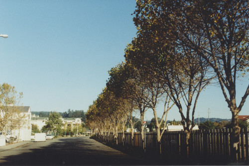 Chestnut Street, Neary Lagoon Apartments, Depot Park