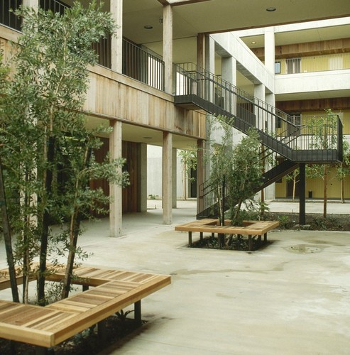 Medical Teaching Facility: exterior: courtyard offices