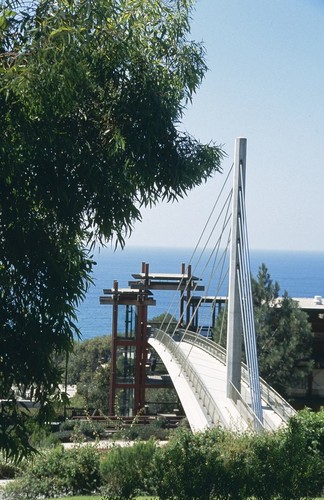 Scripps Crossing Pedestrian Bridge: view from the east side