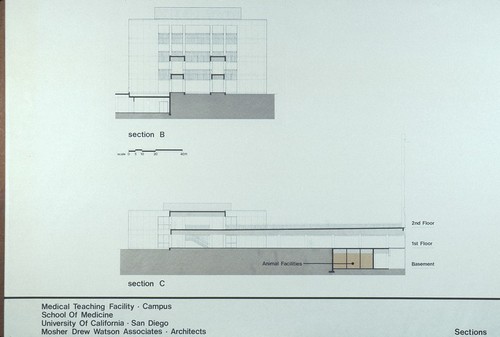 Medical Teaching Facility: section