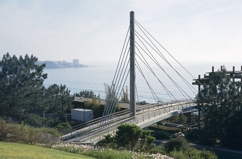 Scripps Crossing Pedestrian Bridge: view from the north east side