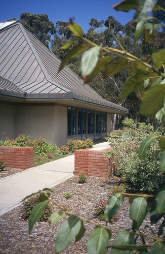 Ida and Cecil Green Faculty Club: exterior: partial view of roof and south patio