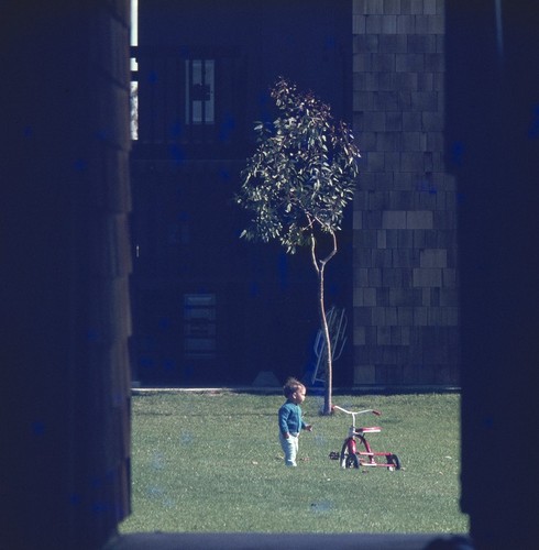 Residential Apartments, Phase Two: exterior: view of lawn from breezeway