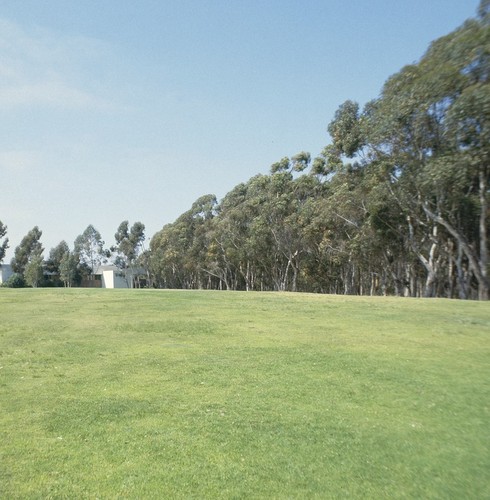 Ida and Cecil Green Faculty Club: site photo before construction