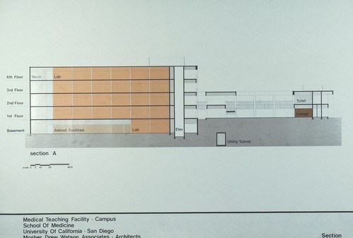 Medical Teaching Facility: section