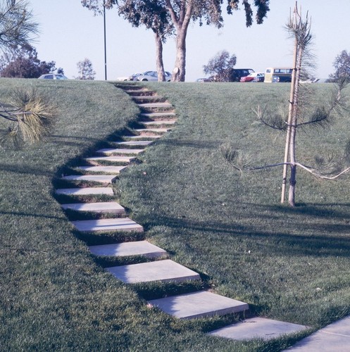 San Diego Supercomputer Center: landscaping walkway