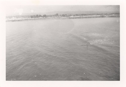 Duke at Cowell Beach