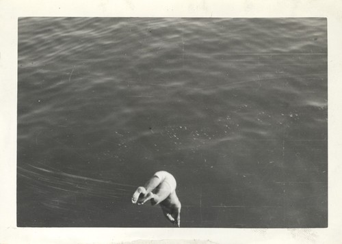 Lloyd Hopper diving off wharf