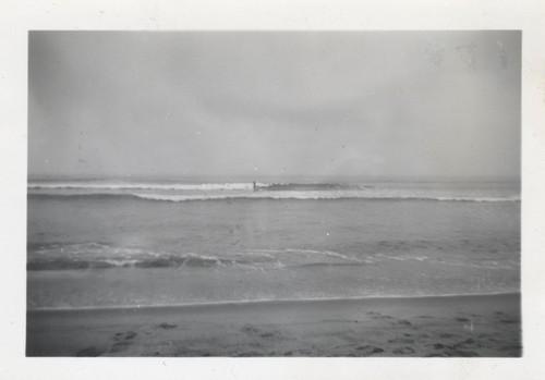 Unidentified surfers at Cowell Beach