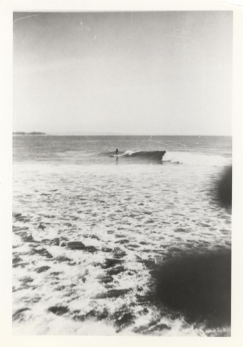 Unidentified surfers at Pleasure Point