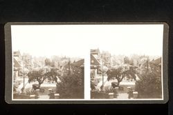 Stereoscope card (Stereographic)--Berkeley, California, scene