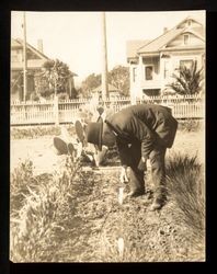 Luther Burbank inspecting plants