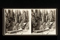 Stereoscope card (Stereographic)--Pines and Lake, Yosemite National Park