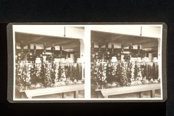 Stereoscope card (Stereographic)--Jars with Fruits