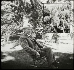 Luther Burbank seated in wicker rocker near palm in the front yard of the cottage, about 1905