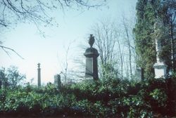 Davis family marker in the Santa Rosa Rural Cemetery, Santa Rosa, California, 1964