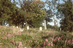 Anabel McGaughey Stuart and Absalom B. Stuart grave in the Santa Rosa Rural Cemetery, Santa Rosa, California, 1964