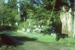 Taylor family graves in the Santa Rosa Rural Cemetery, Santa Rosa, California, 1964