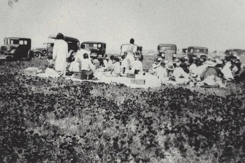 Picnic in the Poppy Fields, near Lancaster, California, 1937