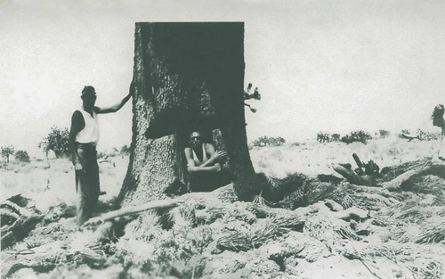 Two Men and Joshua Tree, Antelope Valley, California, 1928