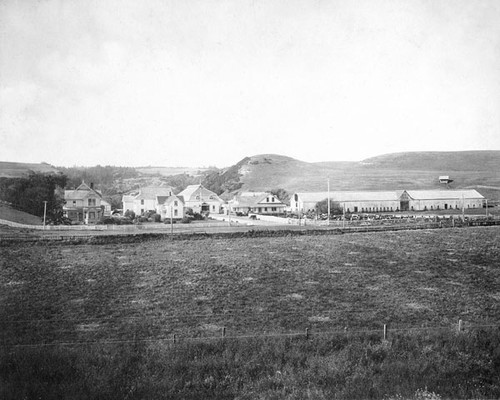 Wilder Dairy Ranch on the Coast Road