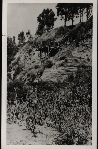 Seacliff Shack of Paul Woodside