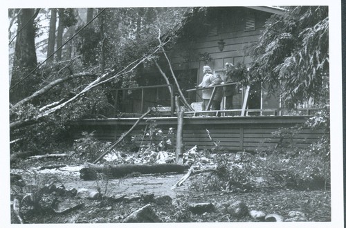 Mrs. Schumacher's House, Old County Road