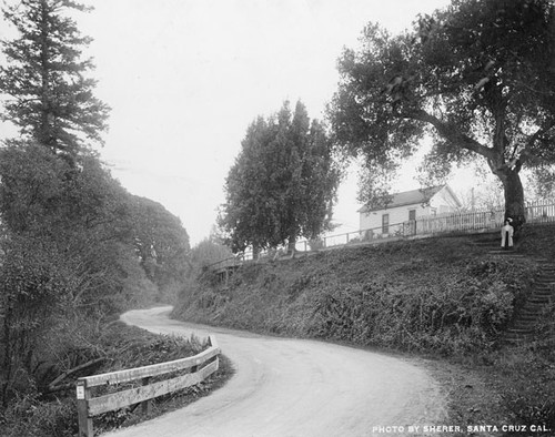 Entrance to Santa Cruz, just past Sycamore Grove